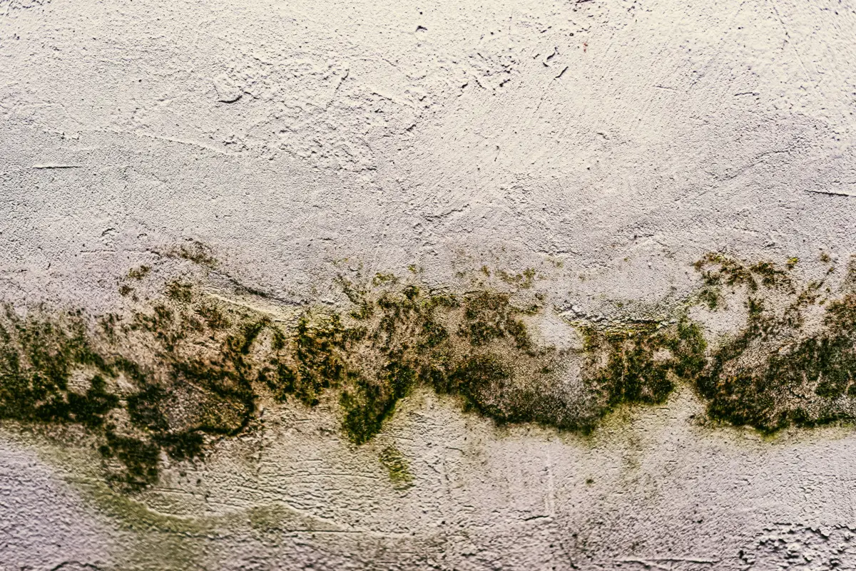 Trucco semplice per capire al volo se la tua casa è umida o secca: ecco perché è importante