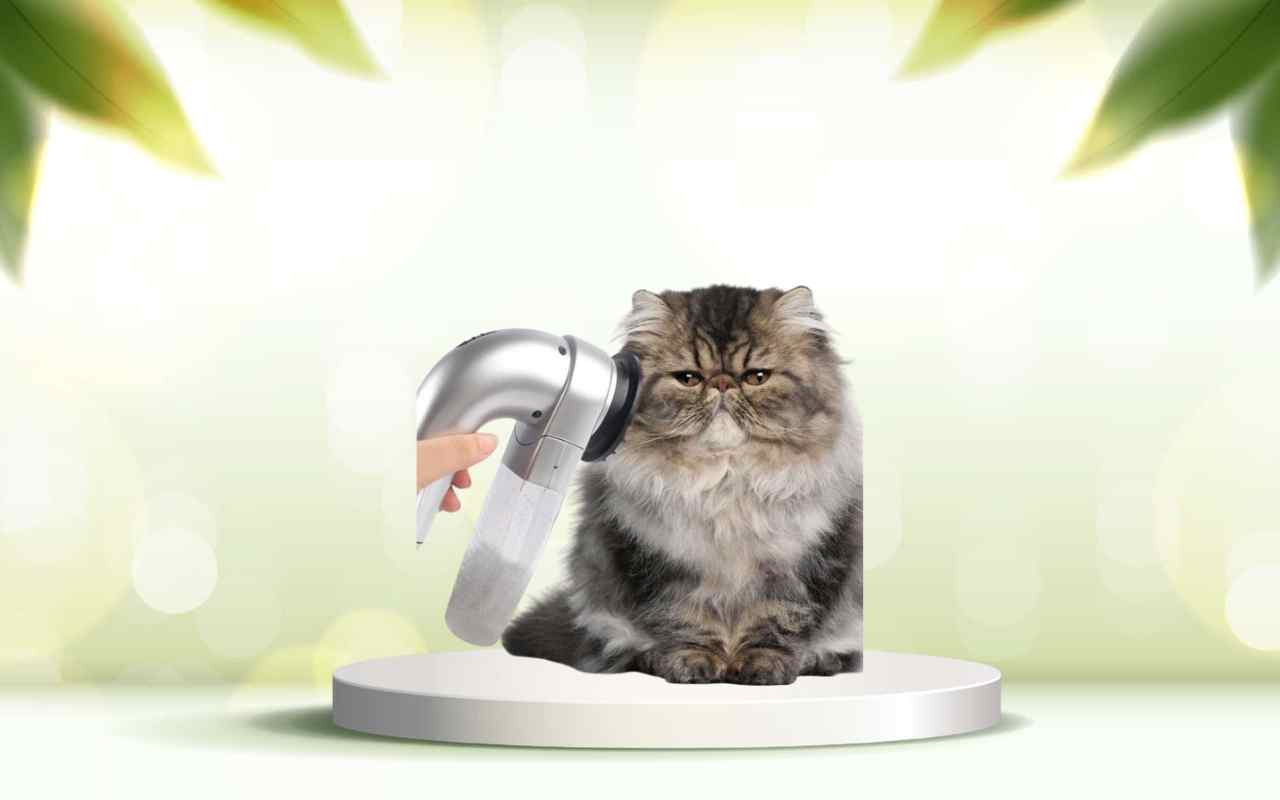 Scopri spazzolAmica: elimina i peli degli animali in casa in un attimo